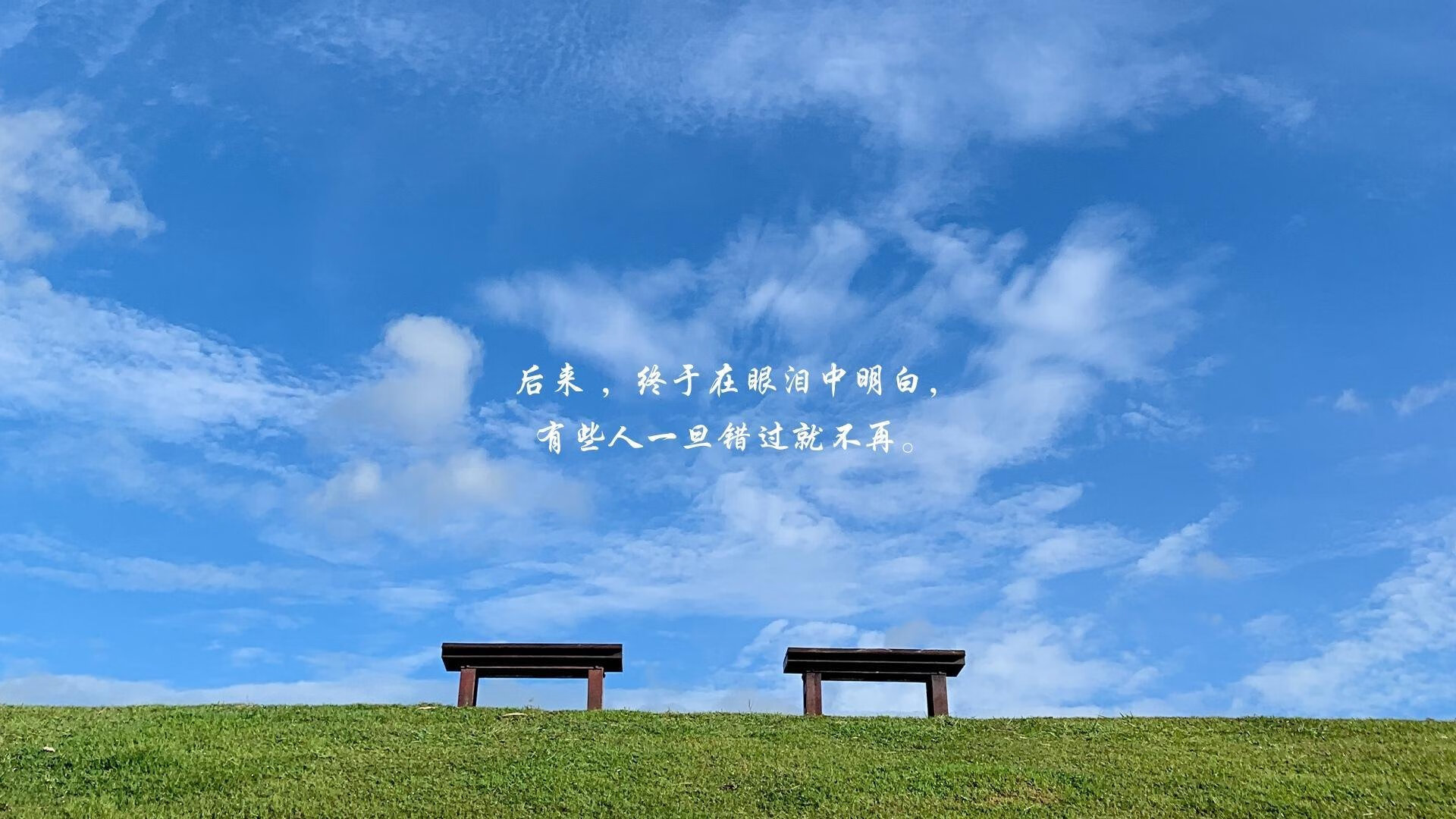 _山地自行车极限赛:穿越丛林,极速狂飙_,山地自行车越野赛