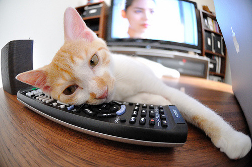 _岛屿赛事:海上、沙滩双重挑战_,有沙滩的岛屿