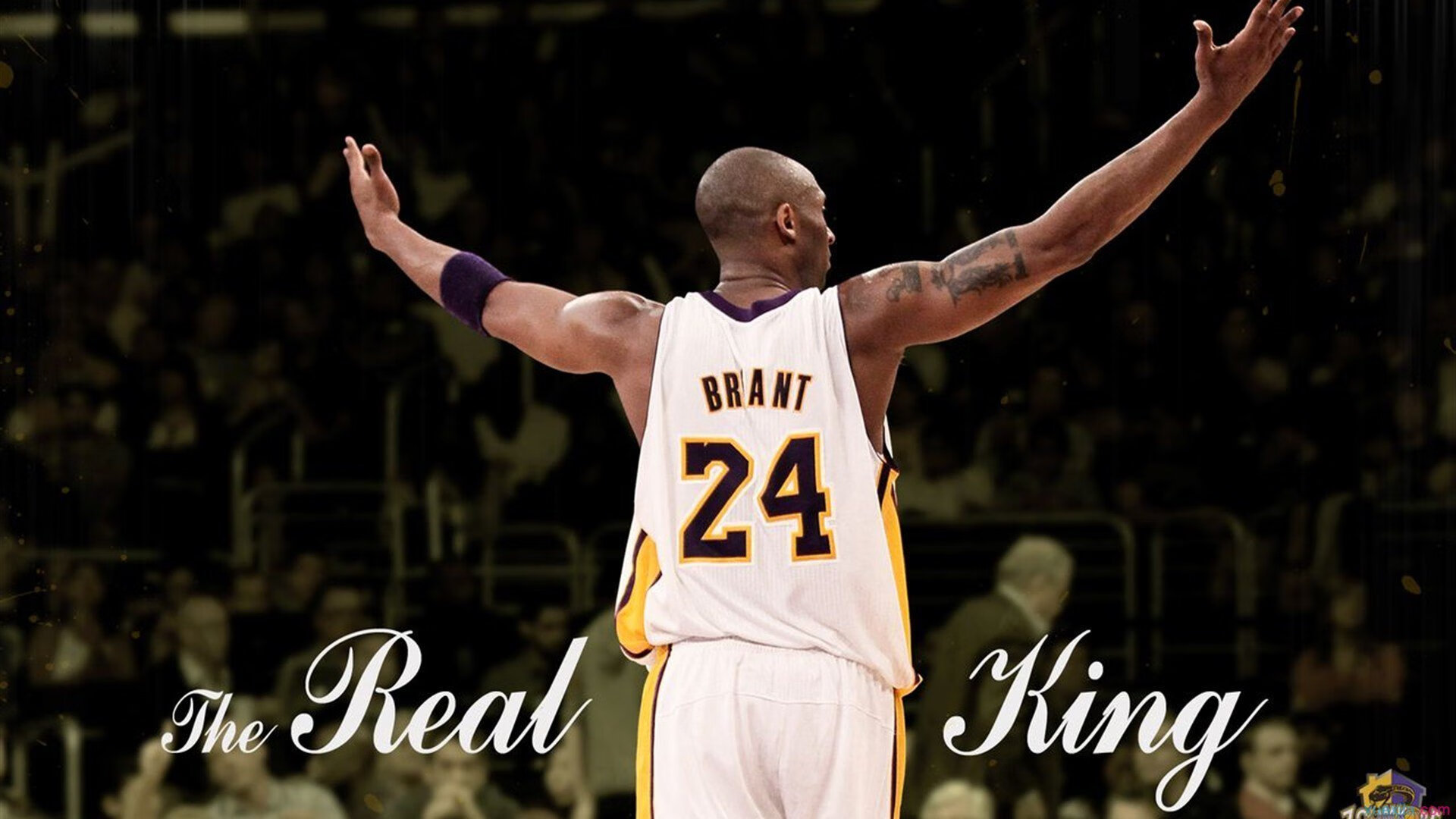 开云电竞服务-世界杯赢球瞬间：喜悦中的泪水与欢呼，世界杯赢家